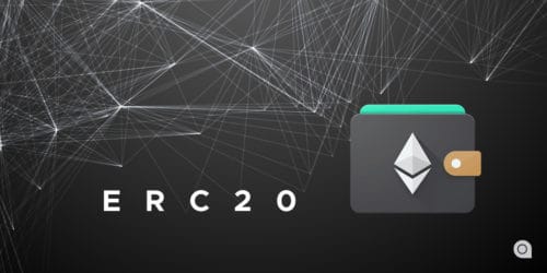 ERC20 compatible wallets and their forms